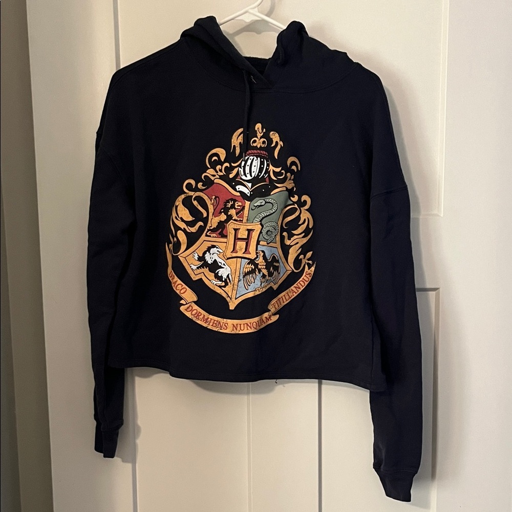 Harry Potter Wizarding World Crop Hoodie - Size L